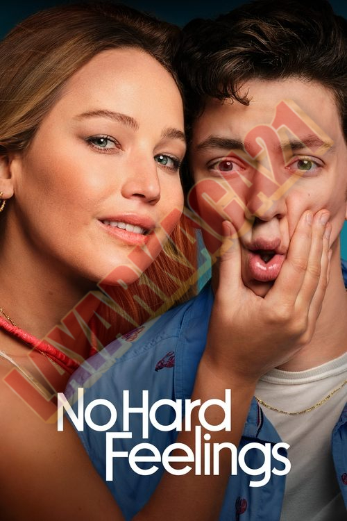 Poster No Hard Feelings