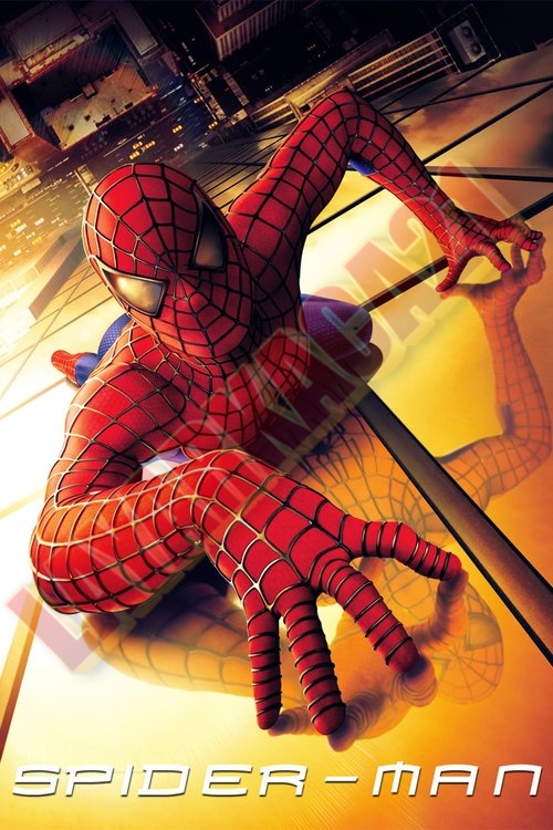 Poster Spider-Man